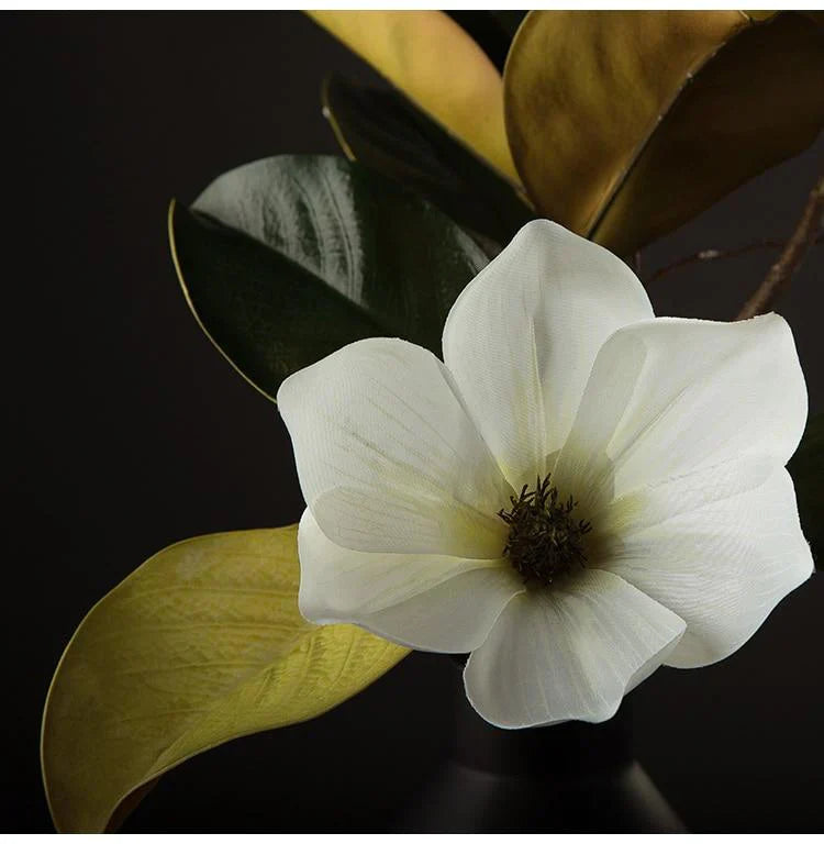 Magnolia Seidenblume | Karnz