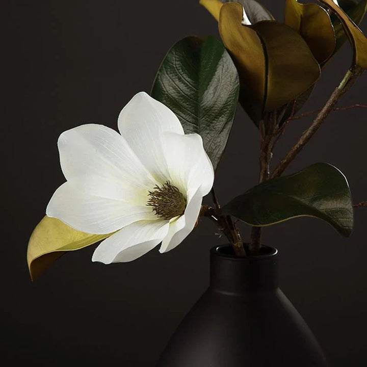 Magnolia Seidenblume | Karnz