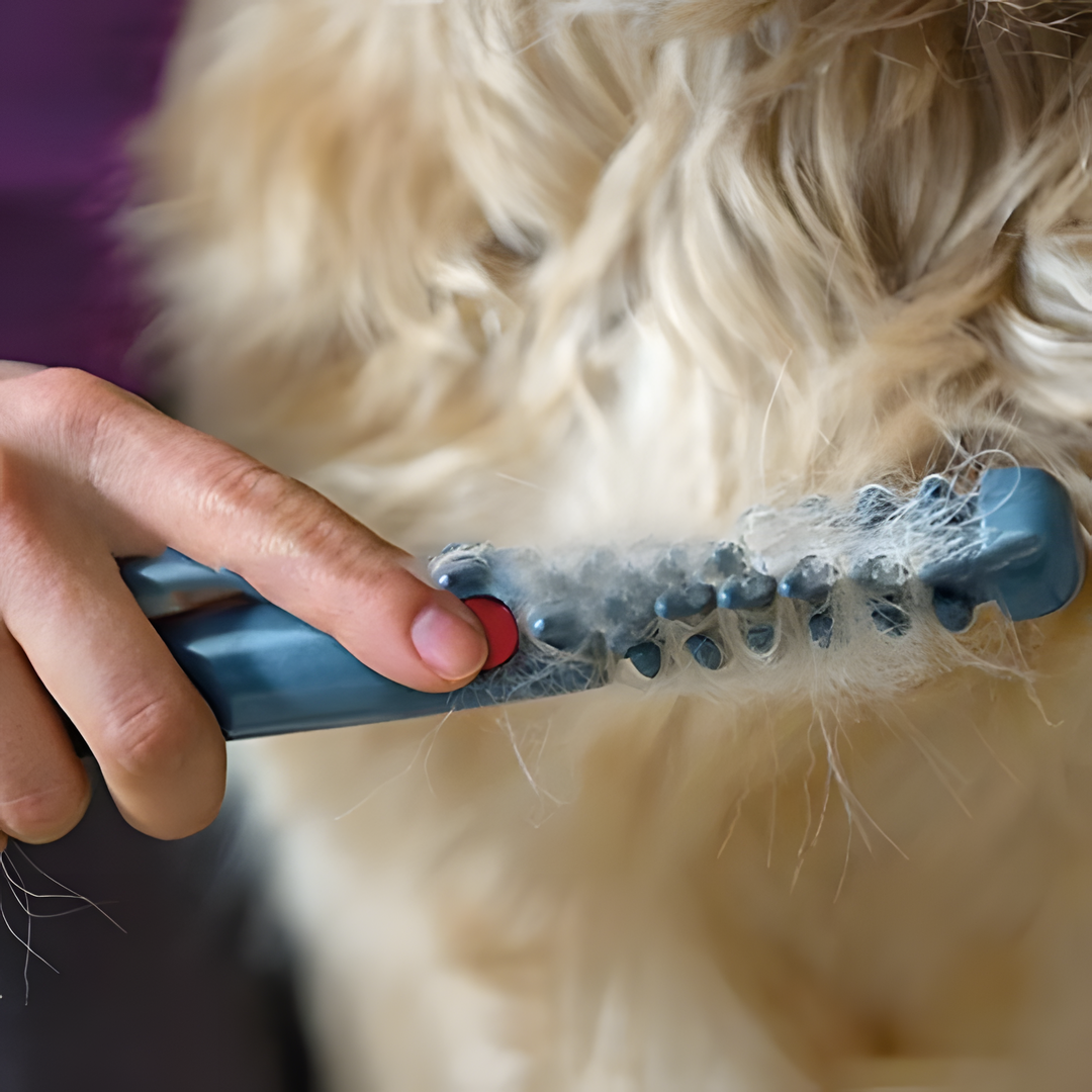 Karnz | Elektrischer Entwirrungs-Trimmer für Hunde & Katzen | Rotierende Sicherheitsklingen gegen Verfilzungen | Schmerzfreie Knotenentfernung | Kabelloses Grooming-Tool für alle Felltypen