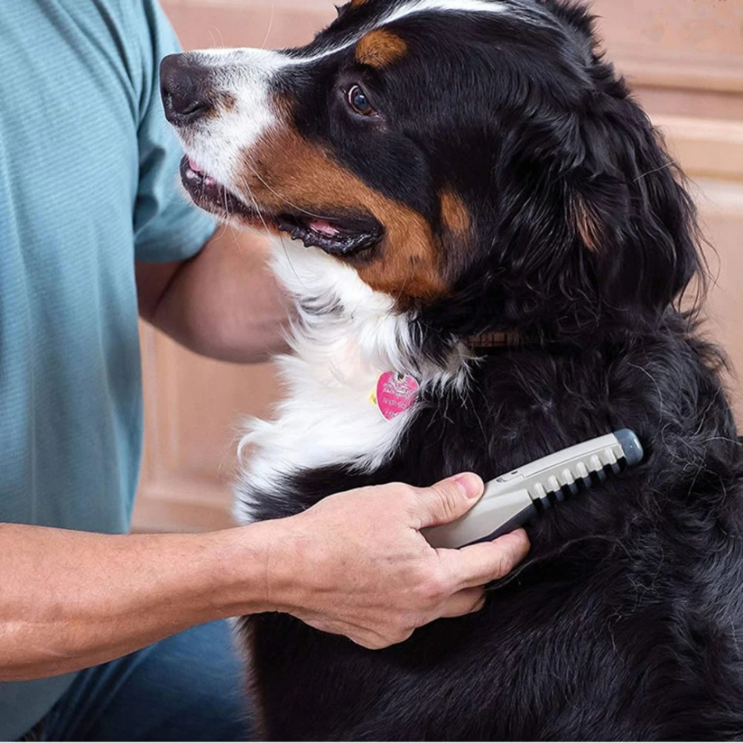 Karnz | Elektrischer Entwirrungs-Trimmer für Hunde & Katzen | Rotierende Sicherheitsklingen gegen Verfilzungen | Schmerzfreie Knotenentfernung | Kabelloses Grooming-Tool für alle Felltypen