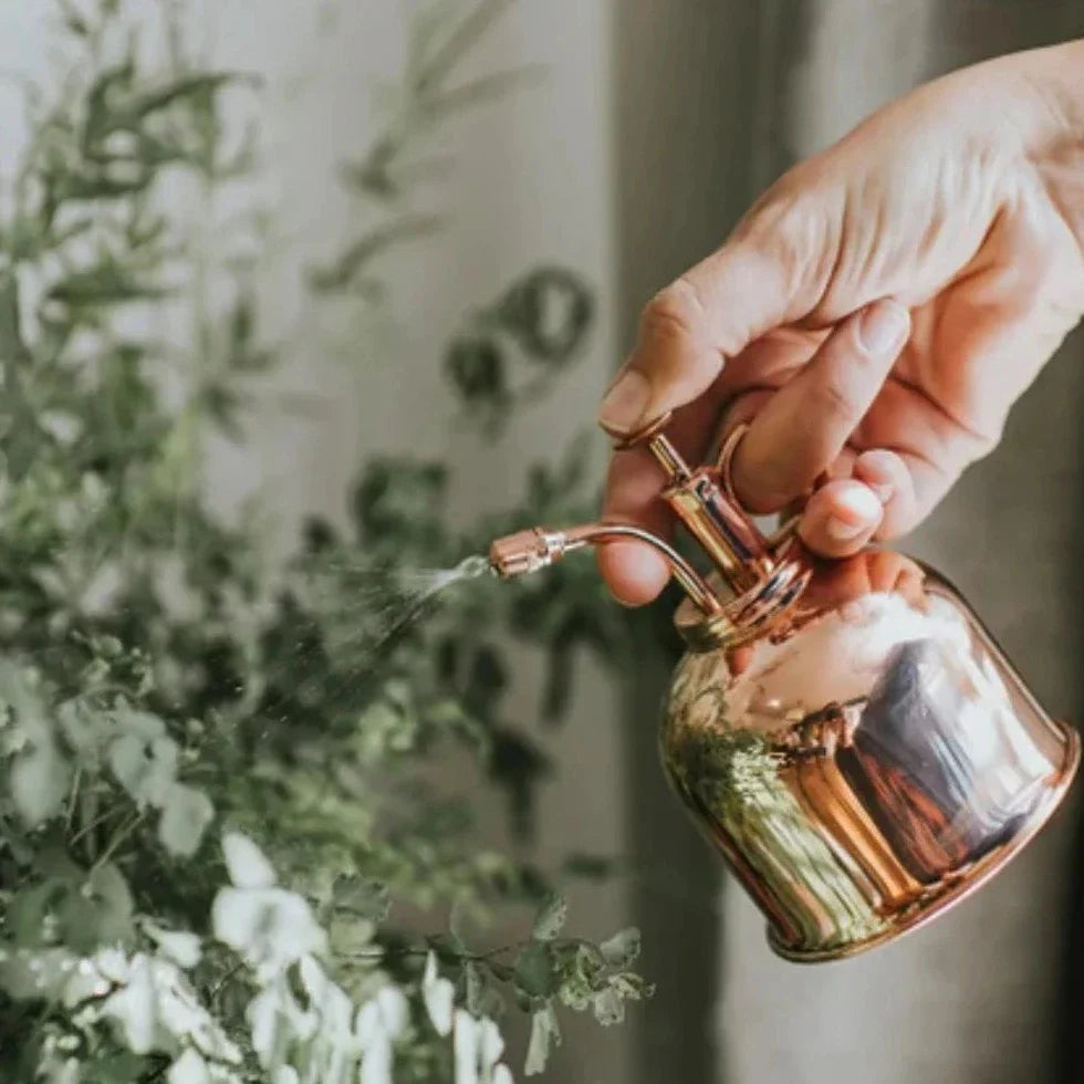 Gold Pflanzen Sprayflasche Karnz