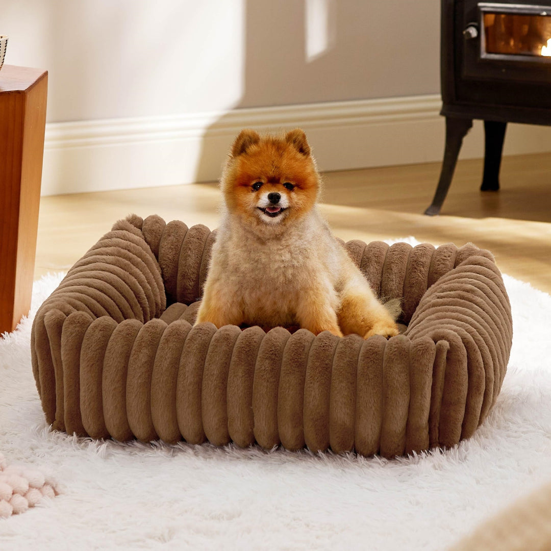 Luxuriöses Bolstered Lounge Hundebett