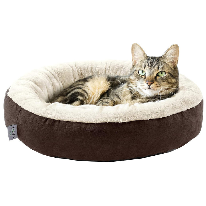 Gemütliches Katzen Karnz Bett