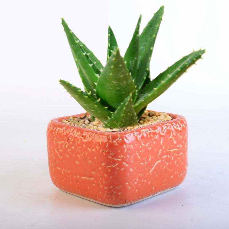 Deko Topf Karnz
