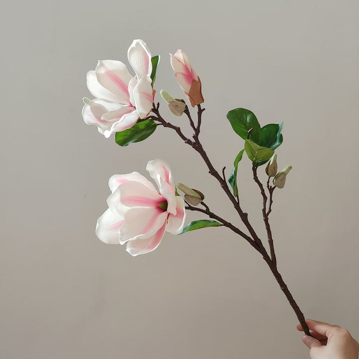 Realistische Magnolienblüte Stamm
