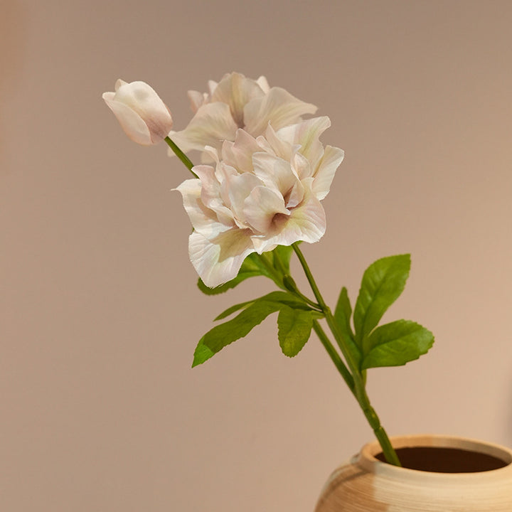 Edle Kunstblume Karnz