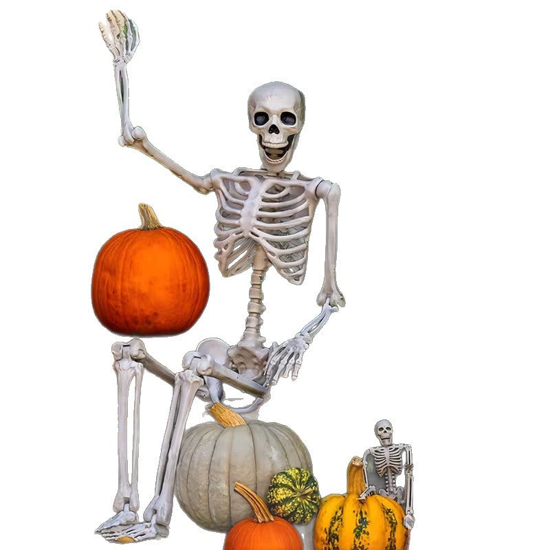 Anatomisches Sch‍ädelmodell