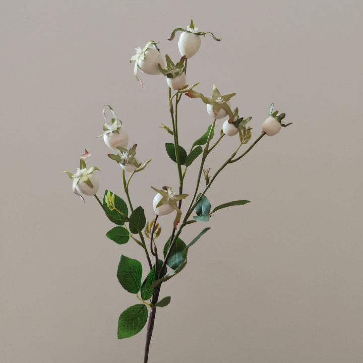 Dekorativer natürlicher getrockneter Blumenstiel
