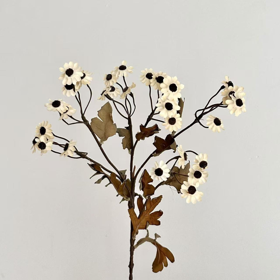 Dekorative Trockenblumen Karnz