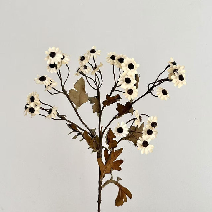 Dekorative Trockenblumen Karnz