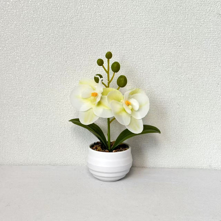 Dekorative Orchideen-Topf