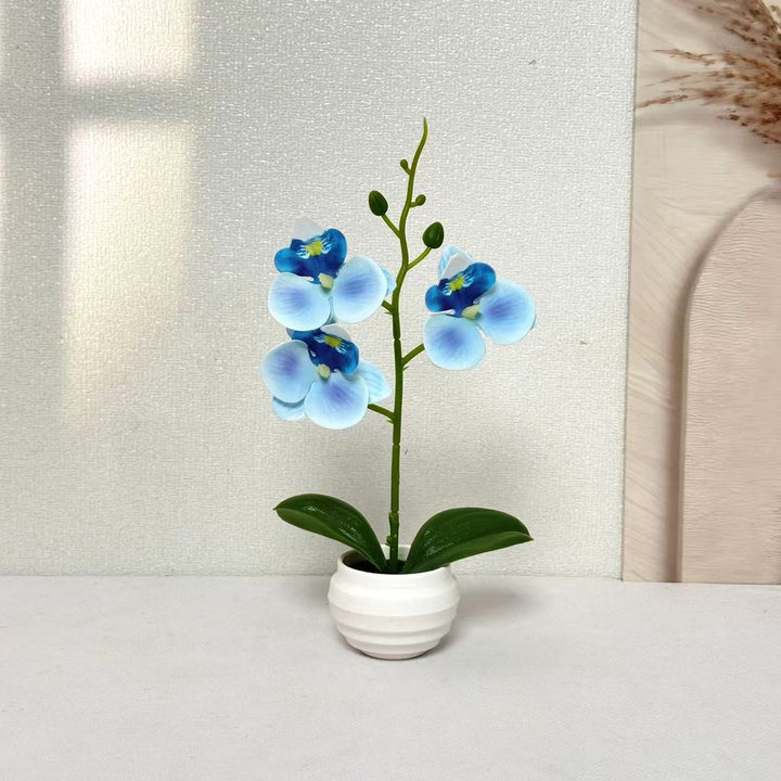 Elegante dekorative Orchideenpflanzenanordnung für die Wohnkultur