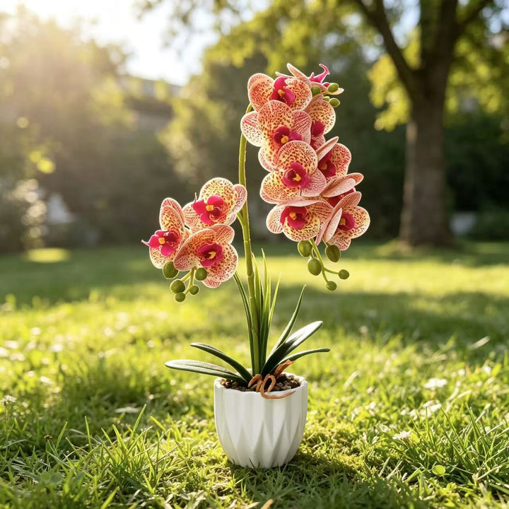 Lebensechte Orchideen-Dekorationspflanze