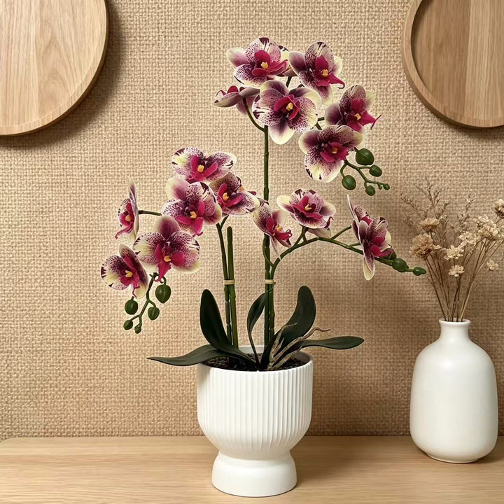 Lebensechte Orchideen Blumen Dekor