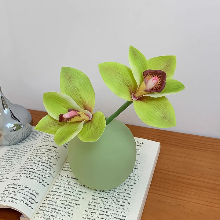 Elegante Orchidee Dekorative Pflanzenkübel