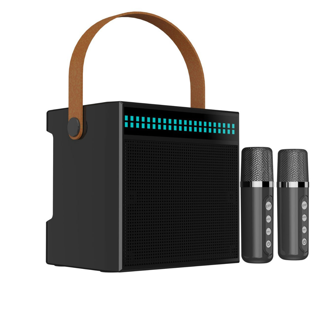 Tragbares Karaoke-System mit Dual-Mikrofonen Karnz