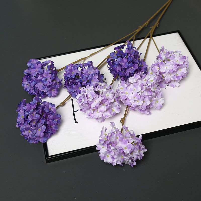 Dekorative getrocknete Blumenstängel für die Wohnkultur