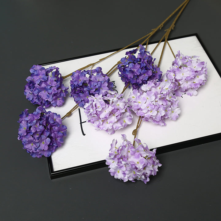 Dekorative getrocknete Blumenstängel für die Wohnkultur