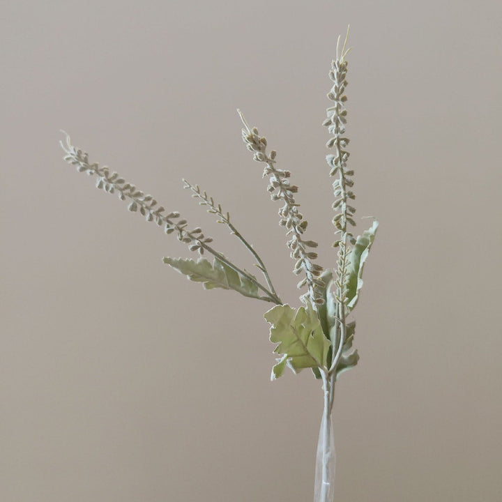 Dekorative Grünpflanze Floralstamm