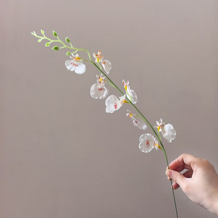Dekorative Orchideenstängel