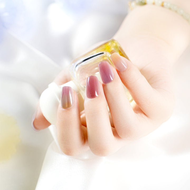 Ombre Effekt Press-On Nagel Set Karnz