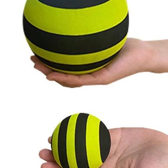 Balance Ball Karnz
