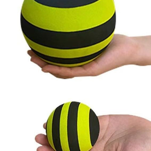 Balance Ball Karnz