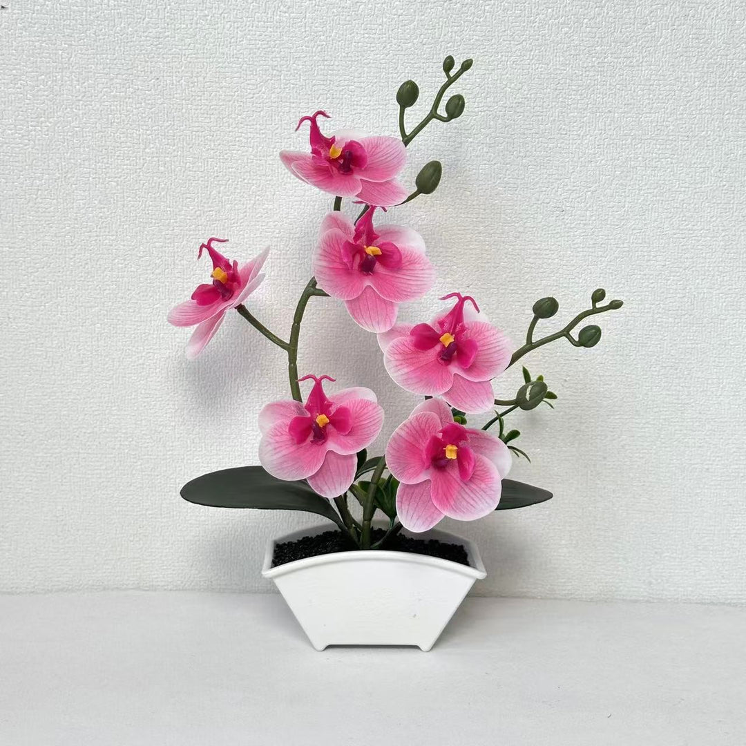 Realistische Dekorative Orchideen Pflanzenanordnung