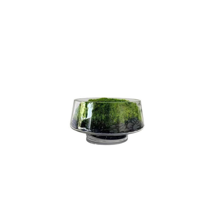 Dekoratives Terrarium