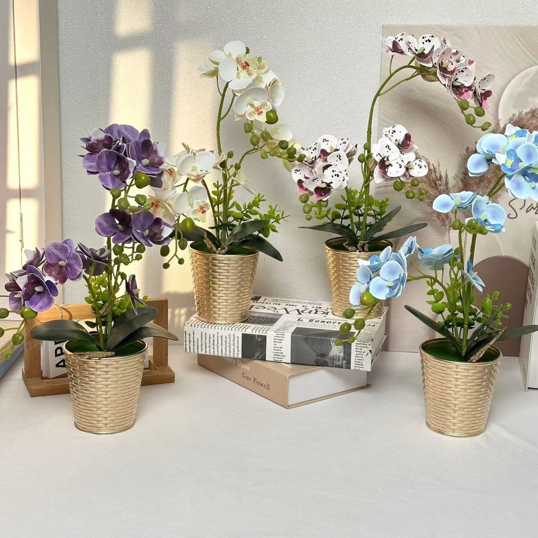 Dekorative Orchideenpflanze für Tischdeko