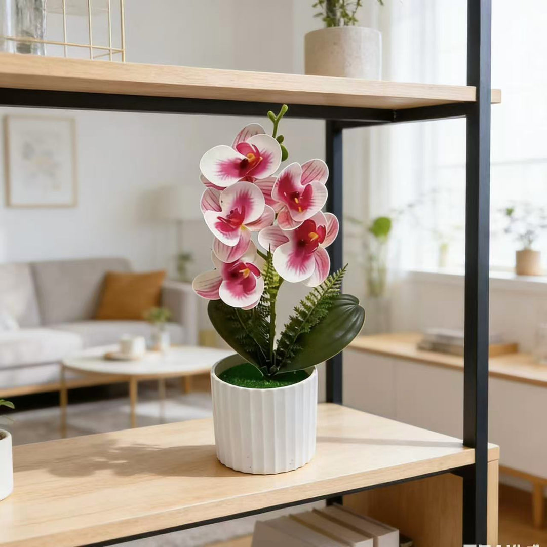 Dekorative Orchideenpflanzenanordnung 1790480742 für Dekoration