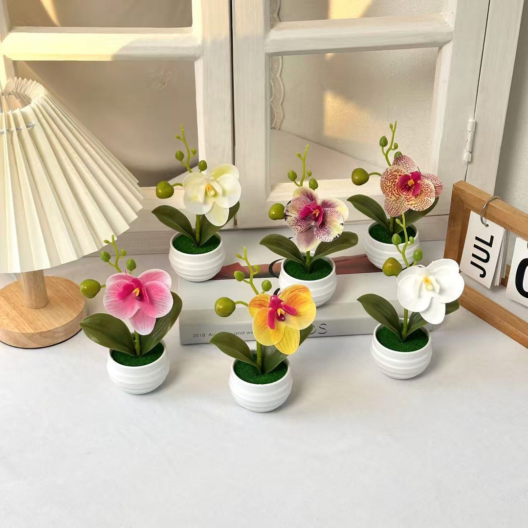 Lebensechte Orchideen Blumenkübel Dekoration