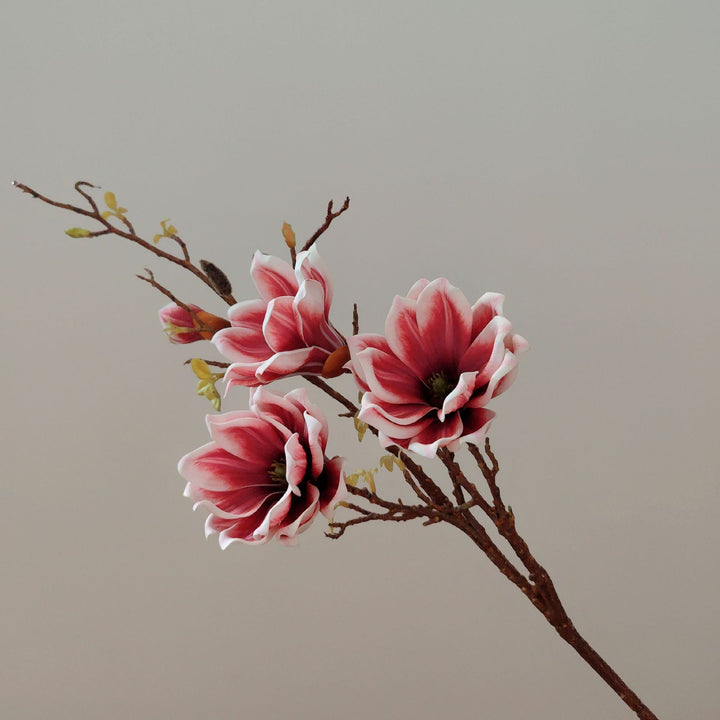 Elegante florale Stielanordnung