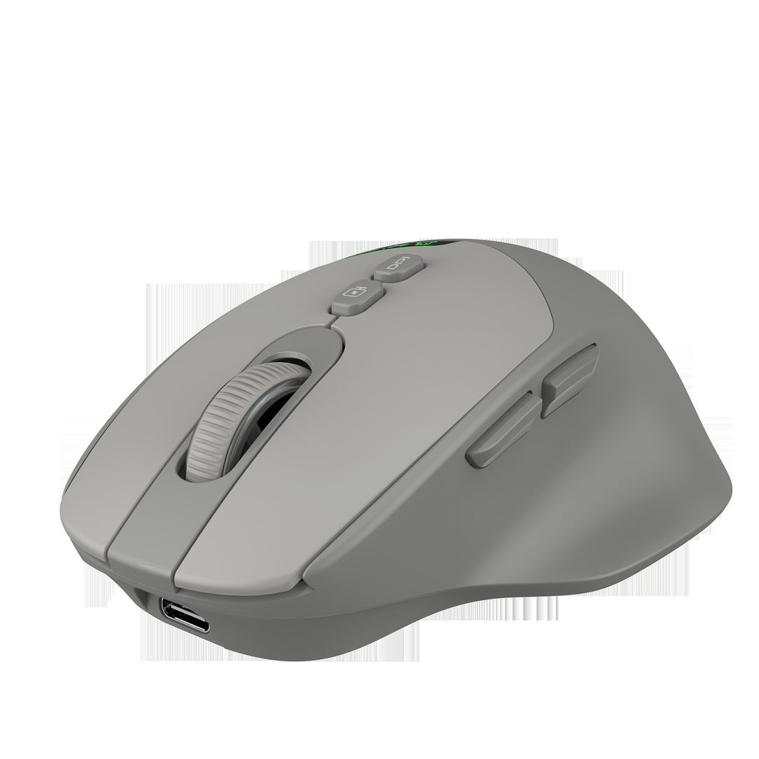 Ergonomische Funkmaus Karnz