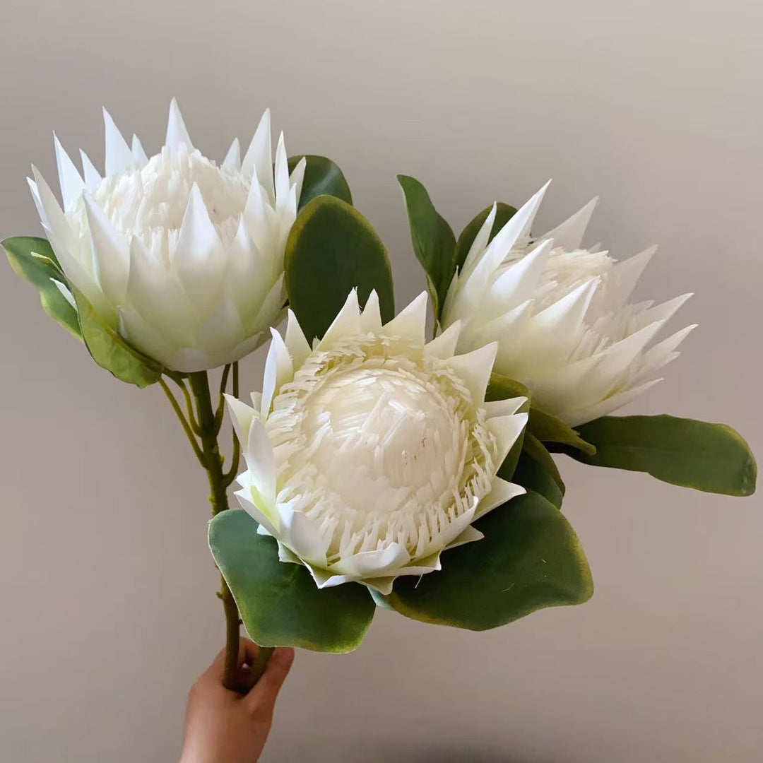 Lebensnahe Dekorative Protea Blumenstängel