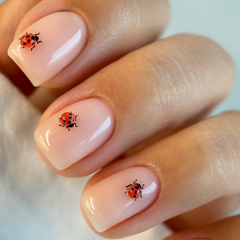 Künstlerisches Marienkäfer Design Press-On Nail Set Karnz
