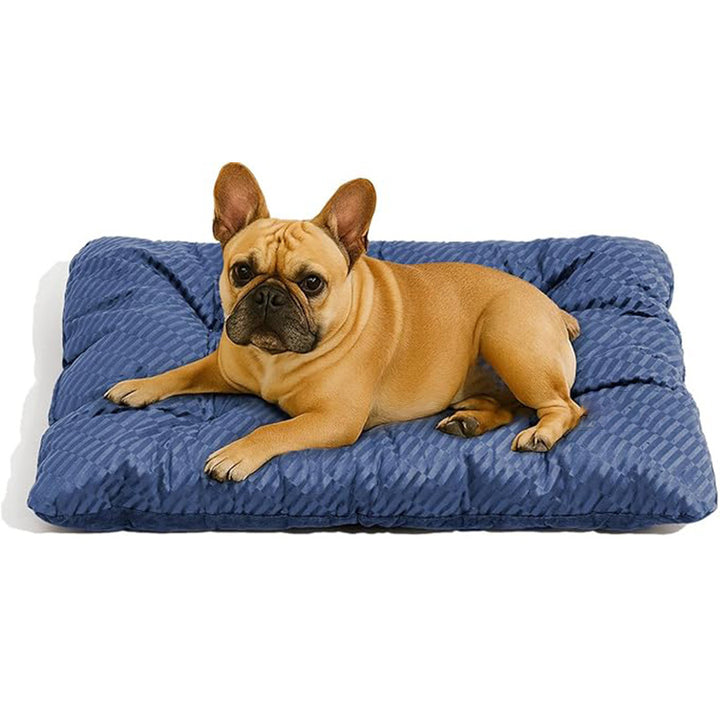 Premium unterstützendes Matratze Hundebett