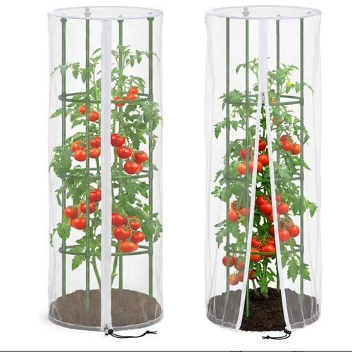 Gartenpflanze Unterstützung Karnz