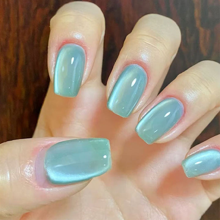 Elegantes Ombre-Nageldesign Karnz
