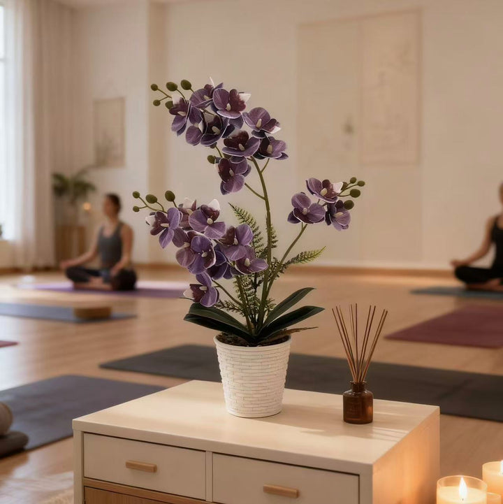 Elegante dekorative Orchideenpflanzenarrangement für die Heimdekoration