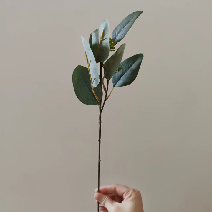 Dekorative Getrocknete Blumenstängel