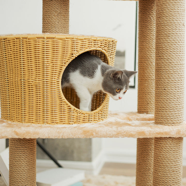 Katzenmöbel-Stamm mit natürlichen Rattan-Elementen Karnz