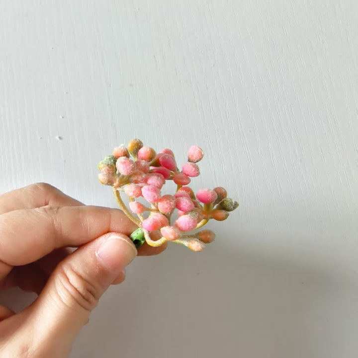 Zarte Blumenknospenstängel