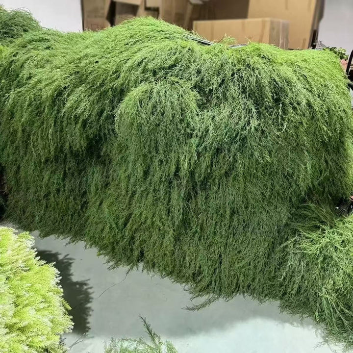 Lush Botanische Hängende Farn Dekoration