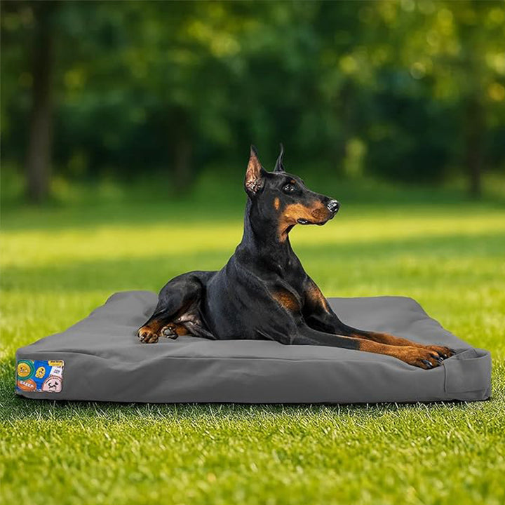 Haltbares Outdoor-Hundebett