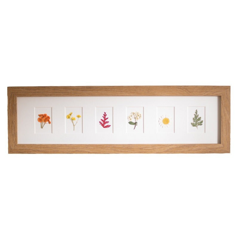Künstlerischer von der Natur inspirierter Schattenboxrahmen