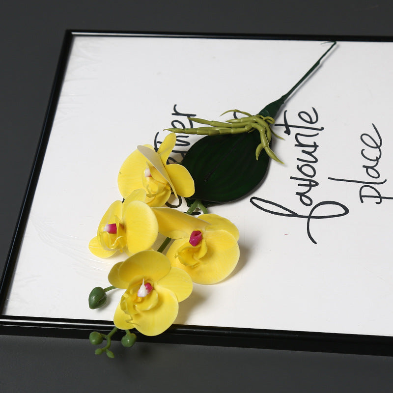 Dekorative Orchideenstängel für die Heimdekoration