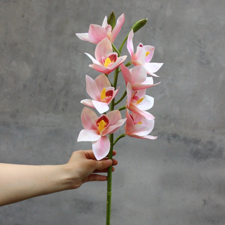 Dekorative Orchidee