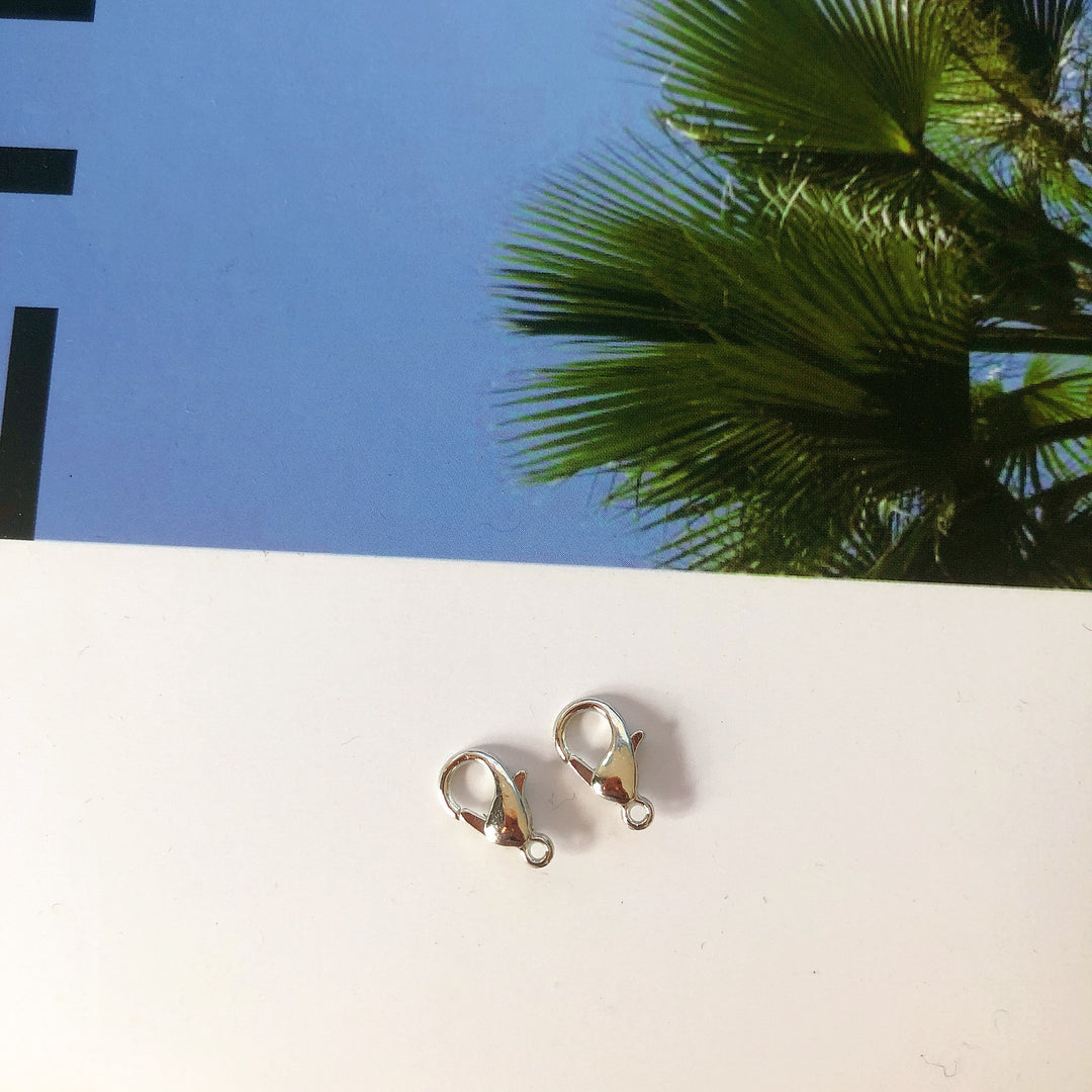 Premium Silber Hummerkrallenverschlüsse Set Karnz