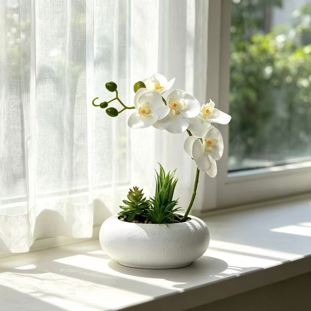 Eleganter Orchideen- und Sukkulentenpflanzer